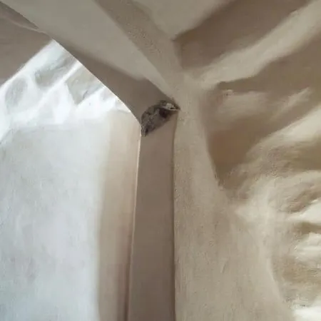 Antica Casa Noce Rivoria * Masera